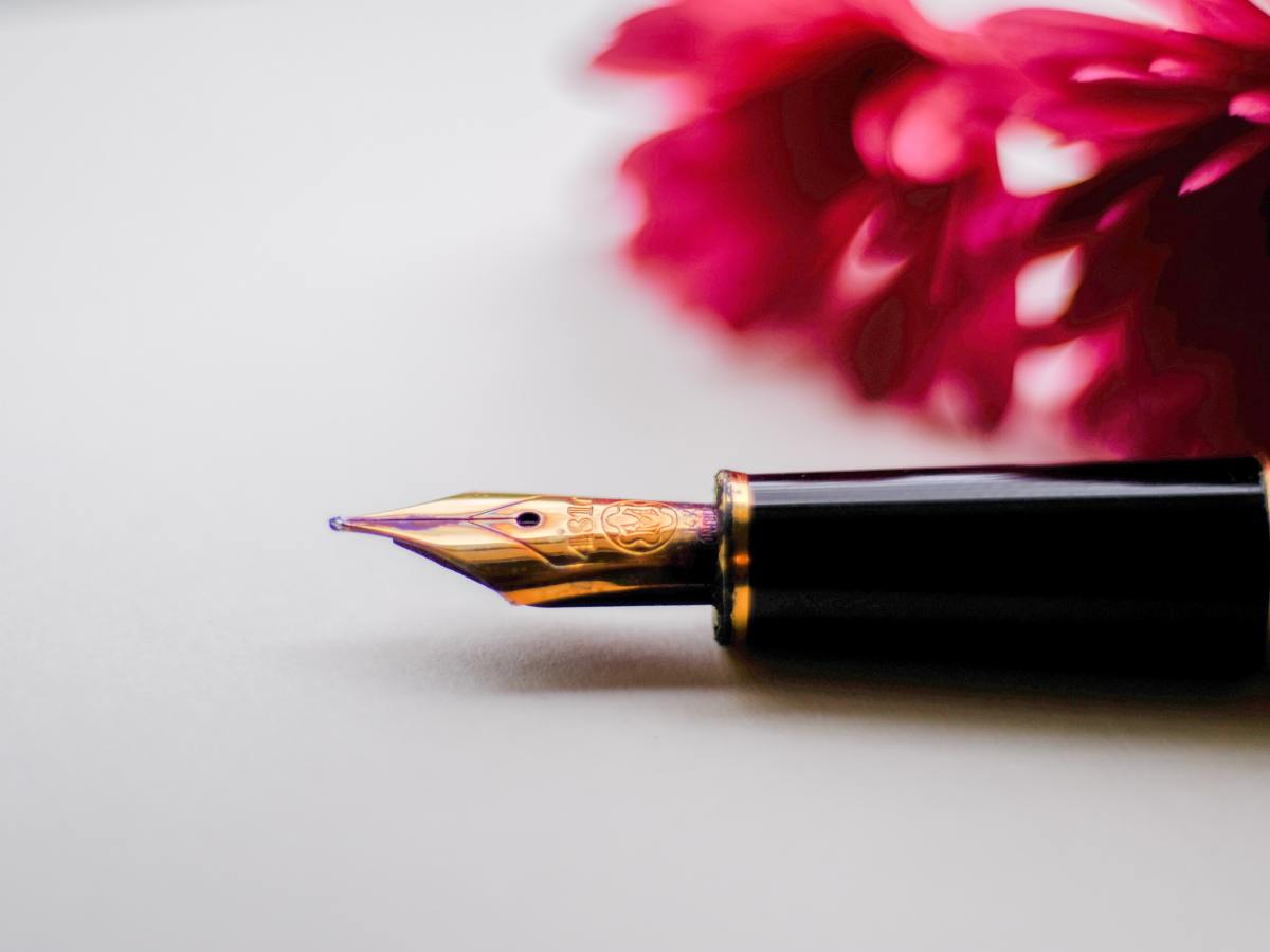 I don’t think you’re ready for this&nbsp;Shelley