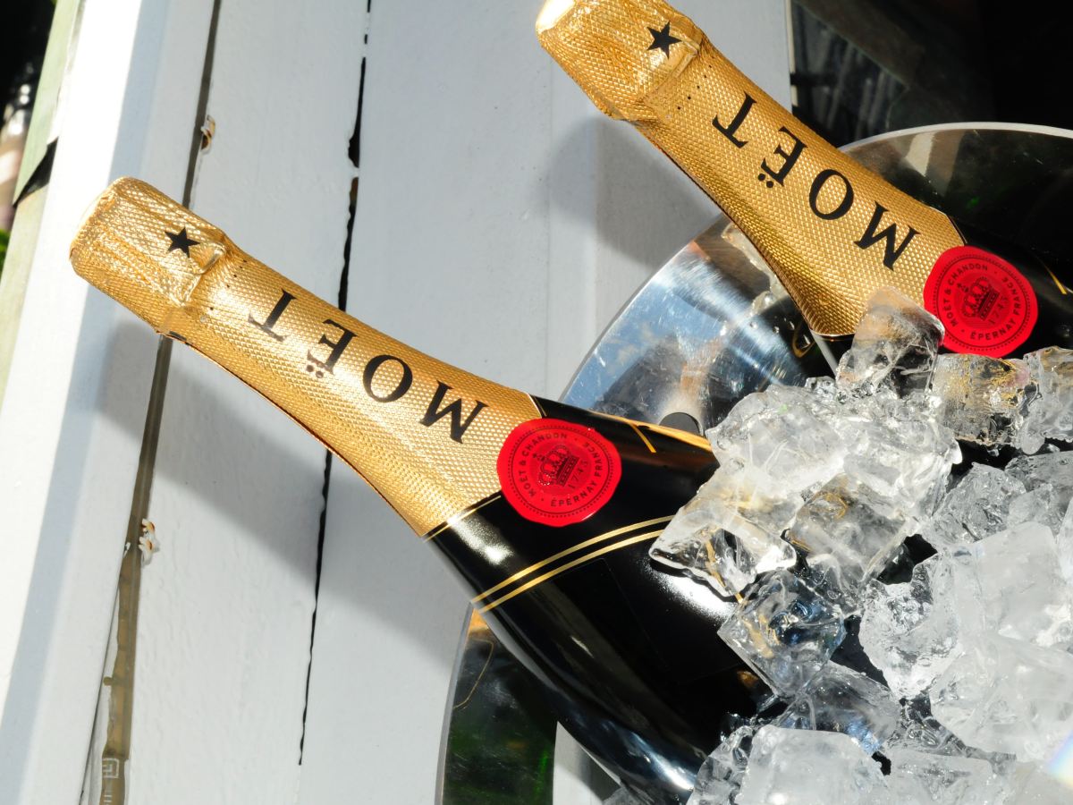 get in loser, I wrote a&nbsp;novel